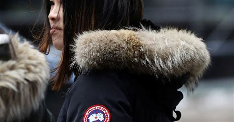 canada goose boycott china